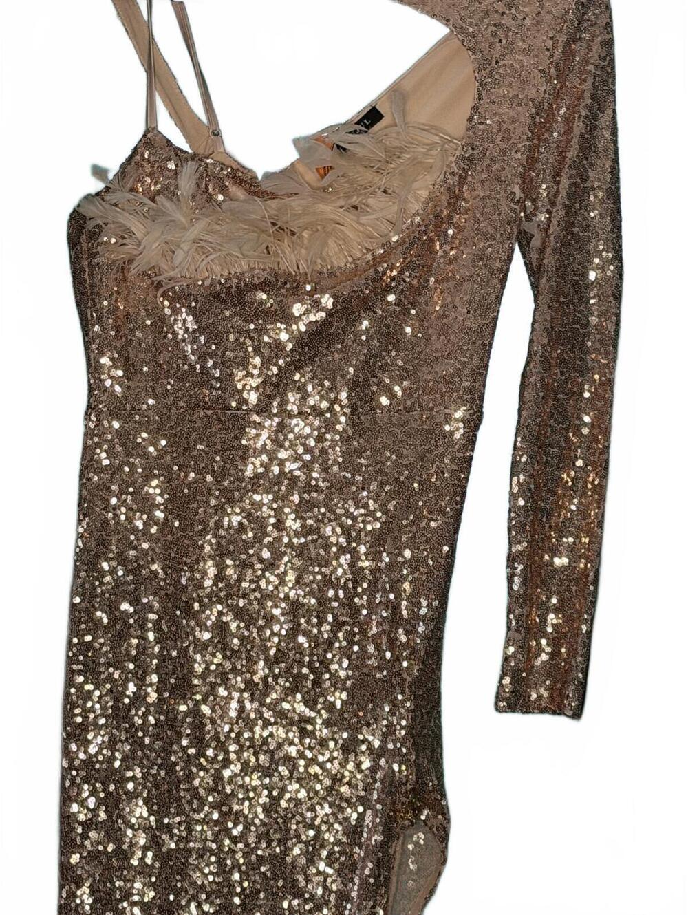 Banjul Metallic Sequin & Feather Party Dress ✨